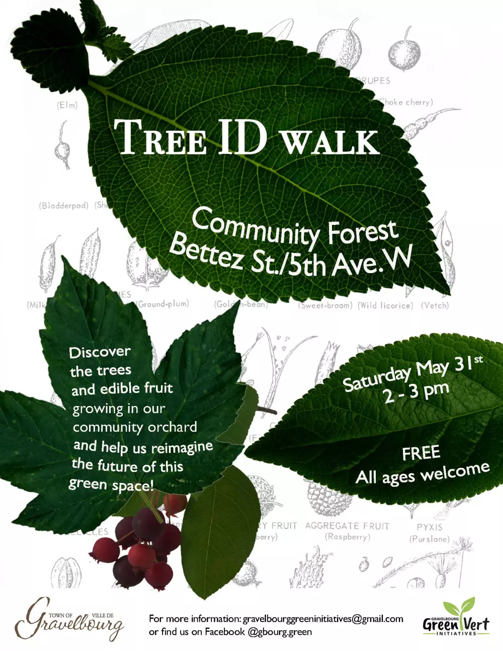 Tree ID Walk