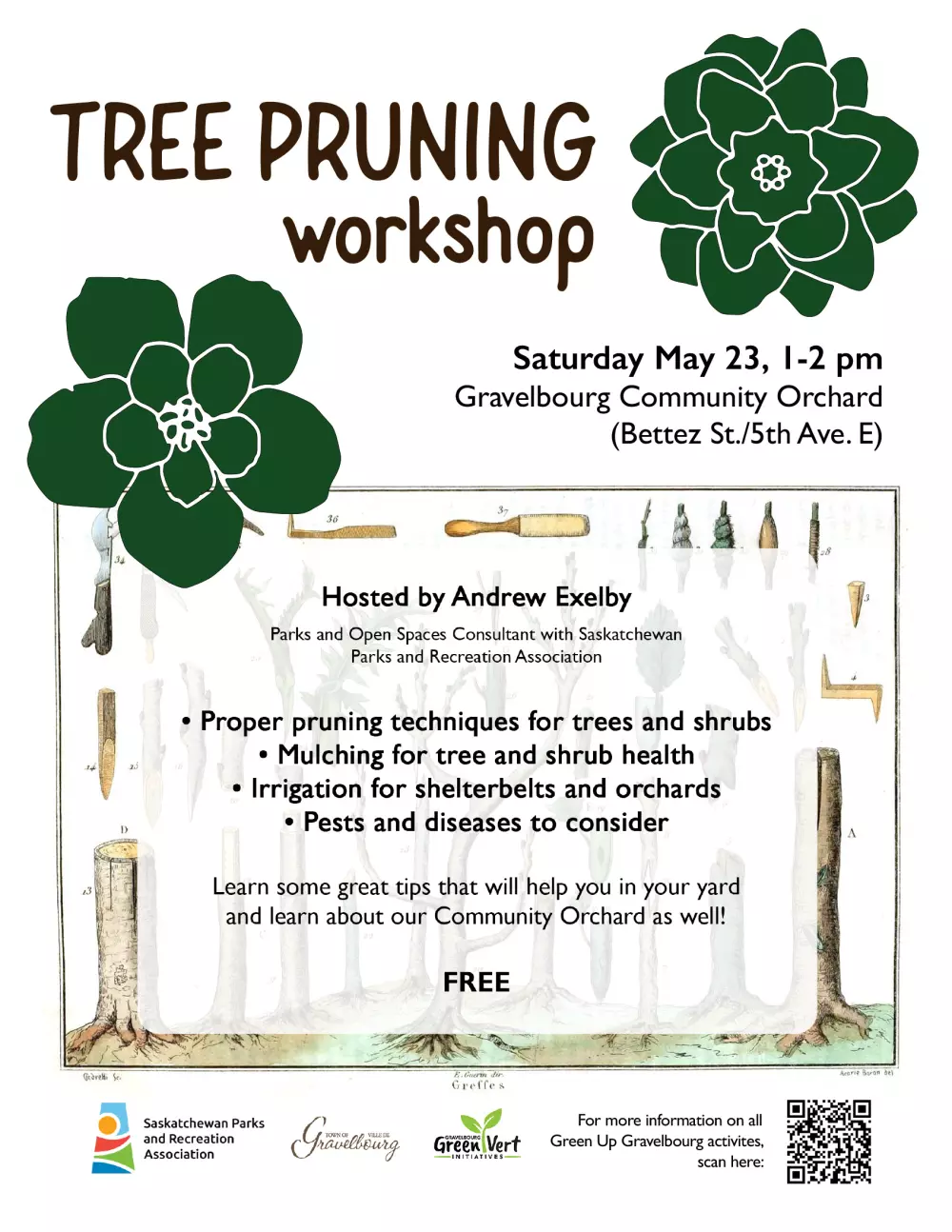 Tree pruning workshop
