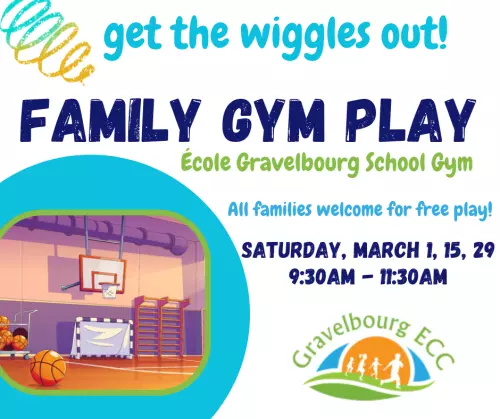 Family Gym Play