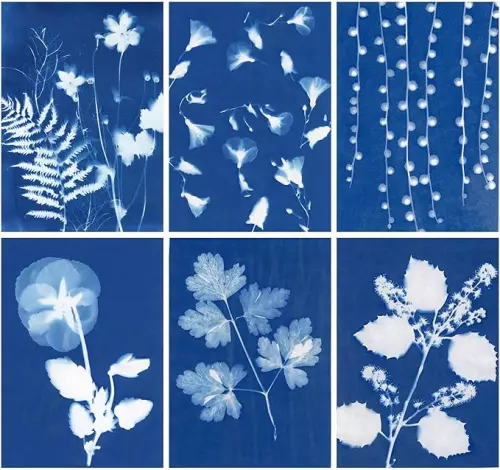 Meet Up Make Art: Cyanotype